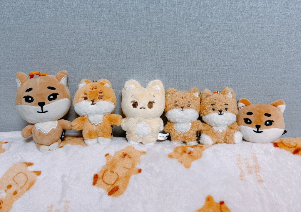 한지붕 케가족🏠
막둥이 케냥이를 환영해💓

#오늘만을_케냥이만을_이날을