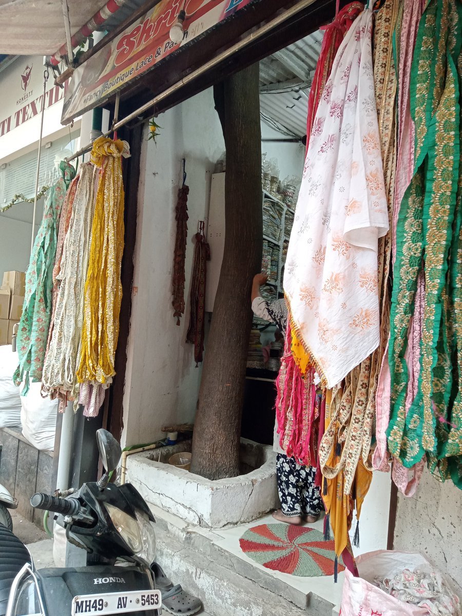 mayankkhuteta's tweet photo. @PMOIndia @CMOMaharashtra @MahaForest  @UNEP @ndtv 
Kudos to this shop owner who preserved this tree.. I salute him for his effort. https://t.co/ROvKQkNaKY
