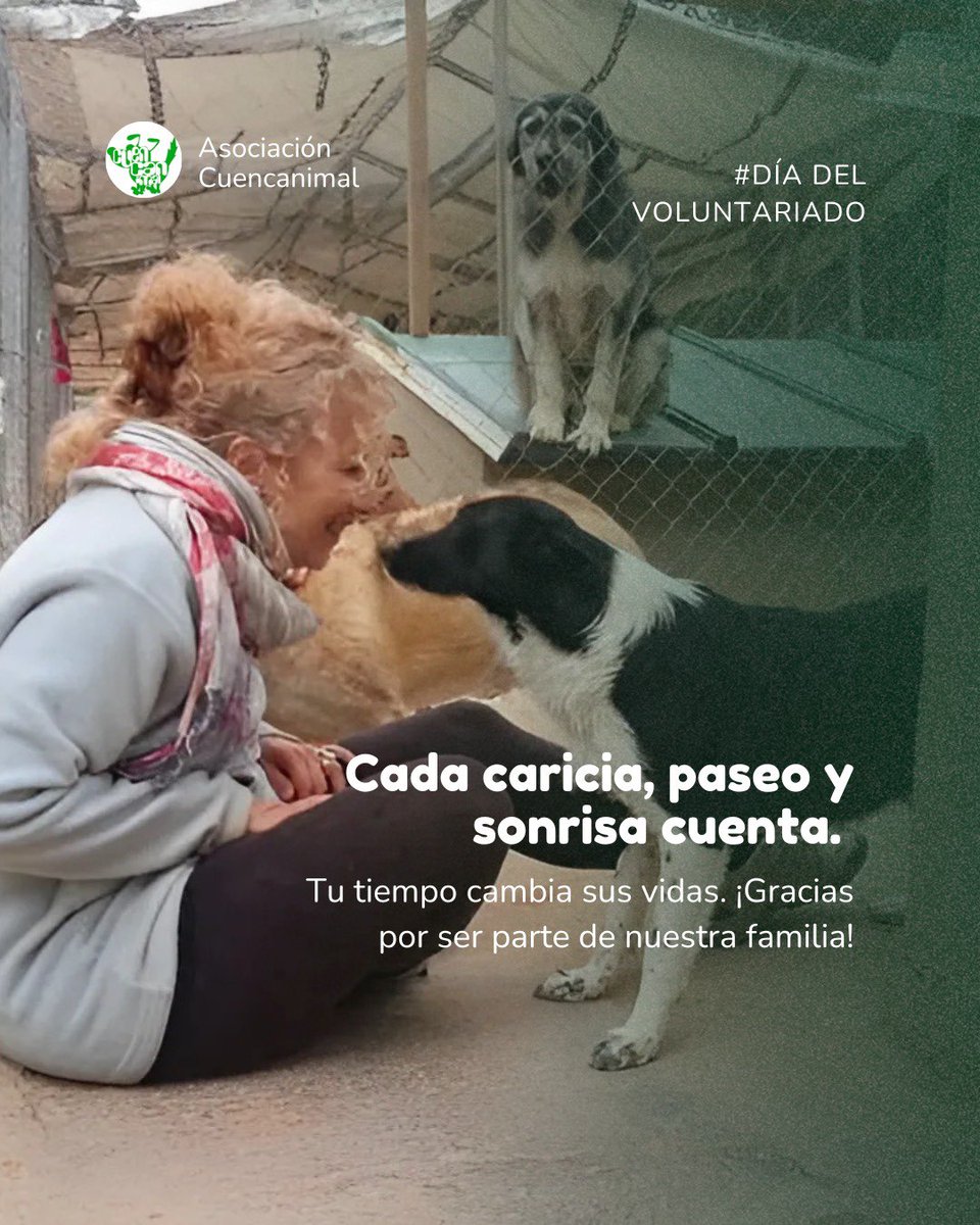 DÍA DEL VOLUNTARIADO, 5 de diembre. No hay palabras suficientes para agradecer la labor de todas las personas voluntarias que forman parte de Cuencanimal. Gracias por cada paseo, cada caricia y cada minuto de vuestro tiempo regalado en todas las labores imprescindibles. 💚🐶