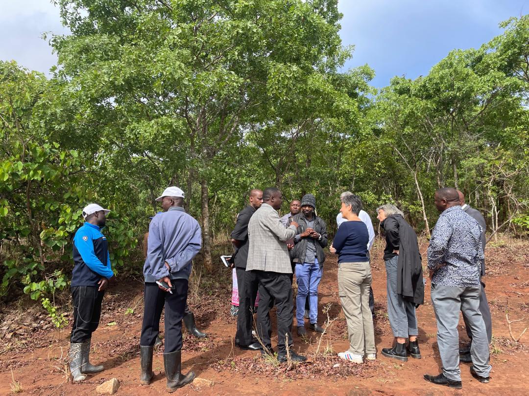 SNV_Tanzania's tweet photo. @SNV_Tanzania had the pleasure to host H.E. Charlotta Ozaki Macias, the @SweAmbTZ who visited the Sustain Eco project, implemented in Rukwa and Katavi regions, funded by @sida. Part of her visit to the project sites included learning about water quality testing, beekeeping... https://t.co/riU1dMQal3