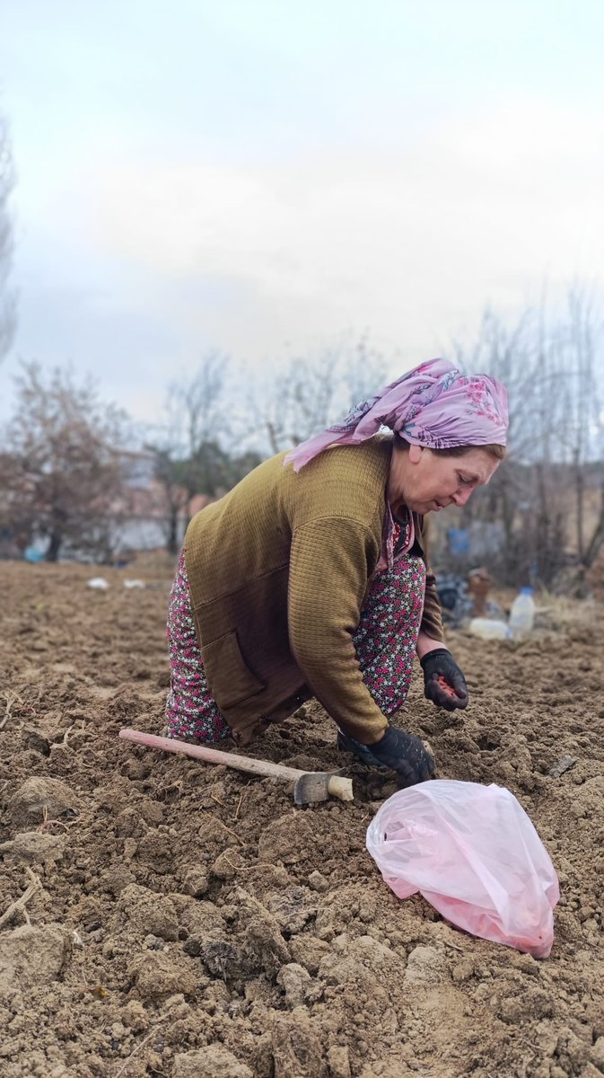 Kalemoğlu Ormanını Savunuyor tweet media