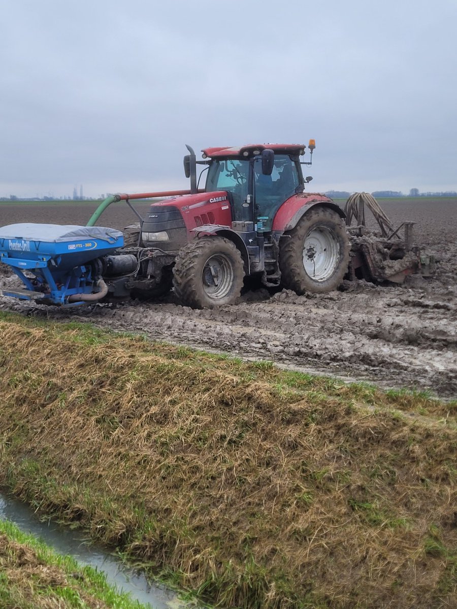 Laatste lapje tarwe zaaien van 2024.