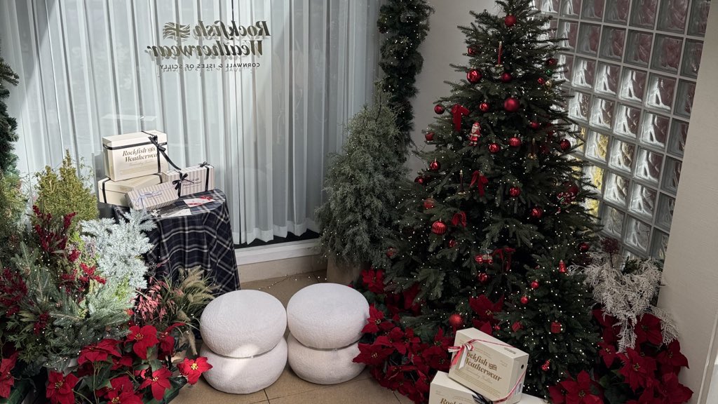 mlisblue's tweet photo. 🎄🎄🎄 https://t.co/GcQVFaNBaT