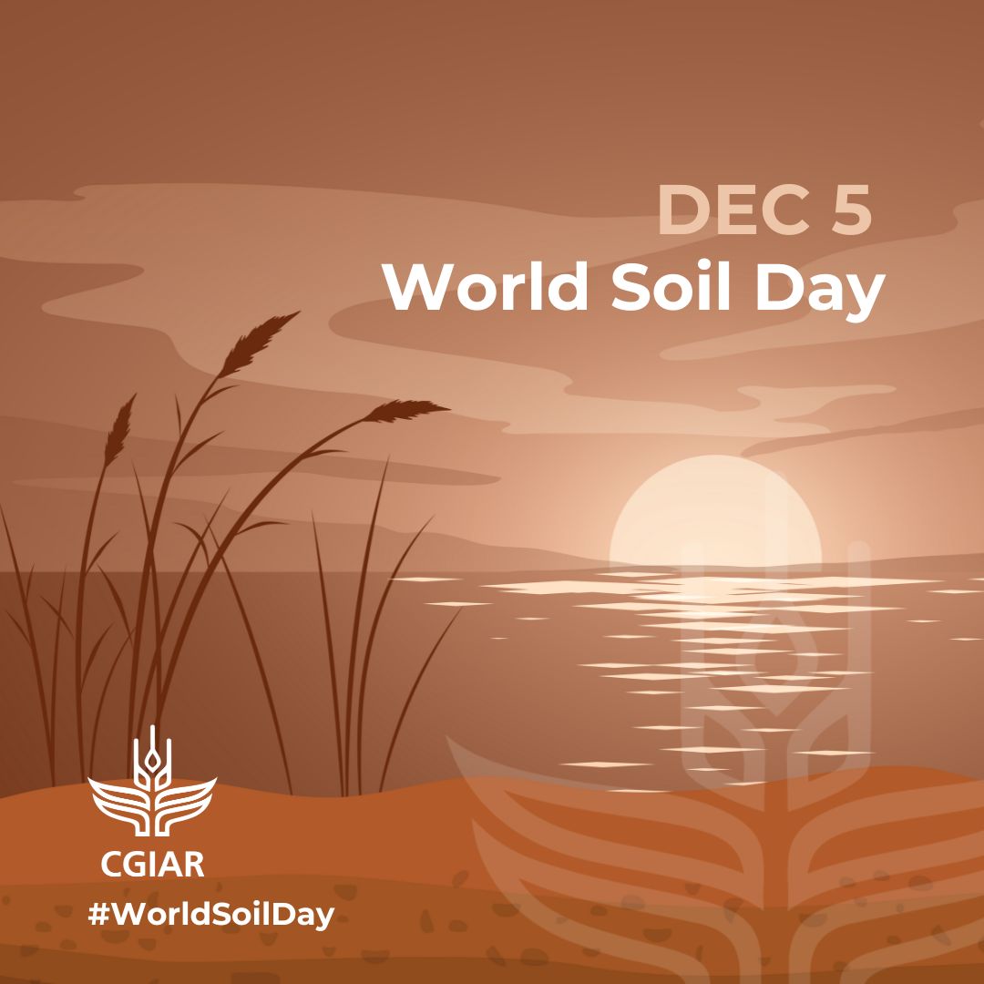 ILRI.org tweet media