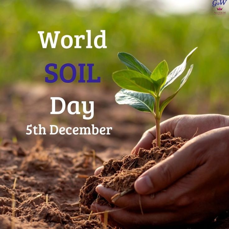 PrashantMavi05's tweet photo. Life begins and ends with soil.
Without healthy soil, there’s no food, no forests, no future.
Celebrate #WorldSoilDay by learning how you can help protect and restore soil health. 🌱
#SustainableFarming #SaveOurSoils
विश्व मृदा दिवस की हार्दिक बधाई एवम् शुभकामनाएं। https://t.co/CKQQBCkBtO