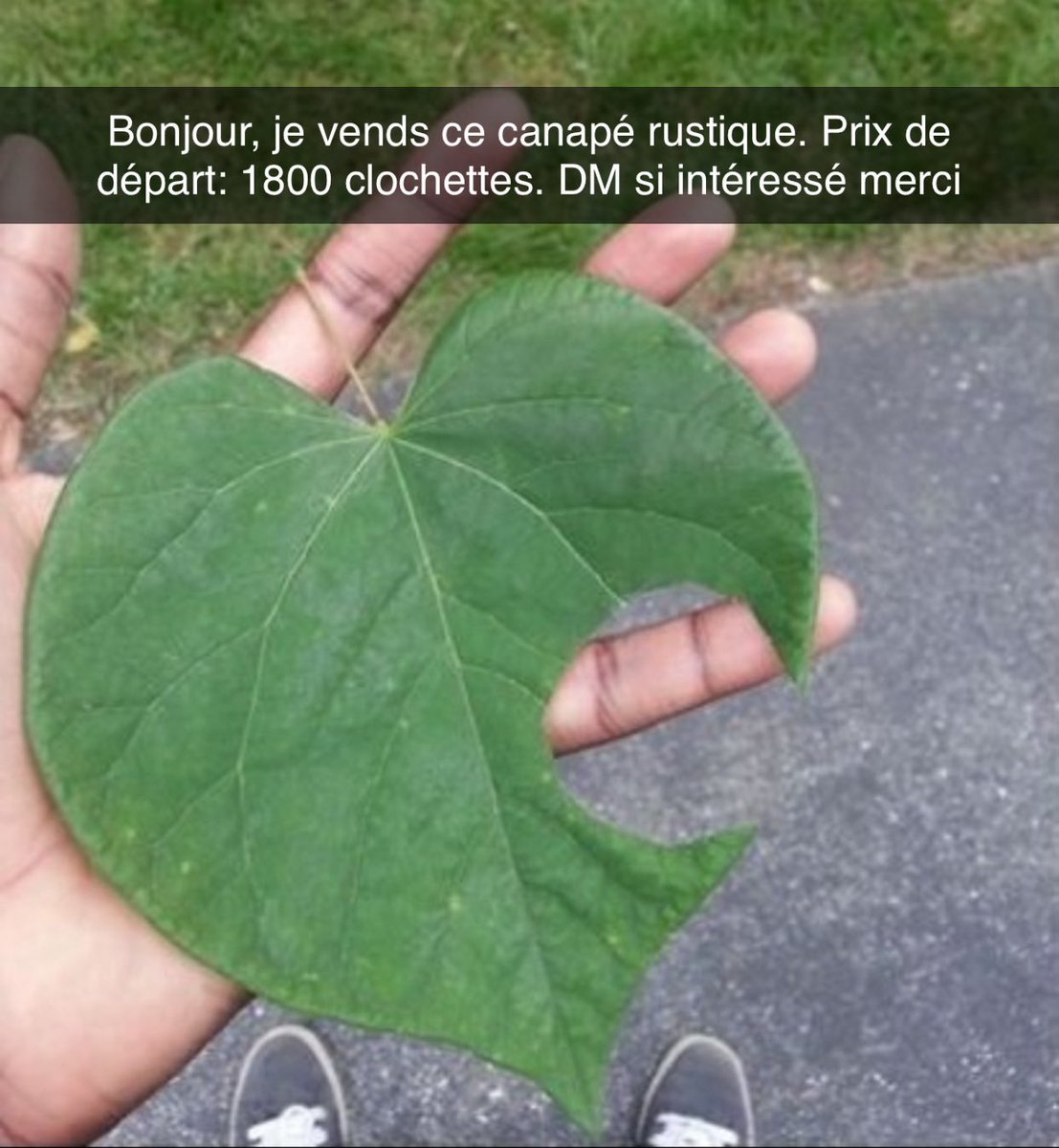 _sombrinternet's tweet photo. https://t.co/6o3vqccYOH