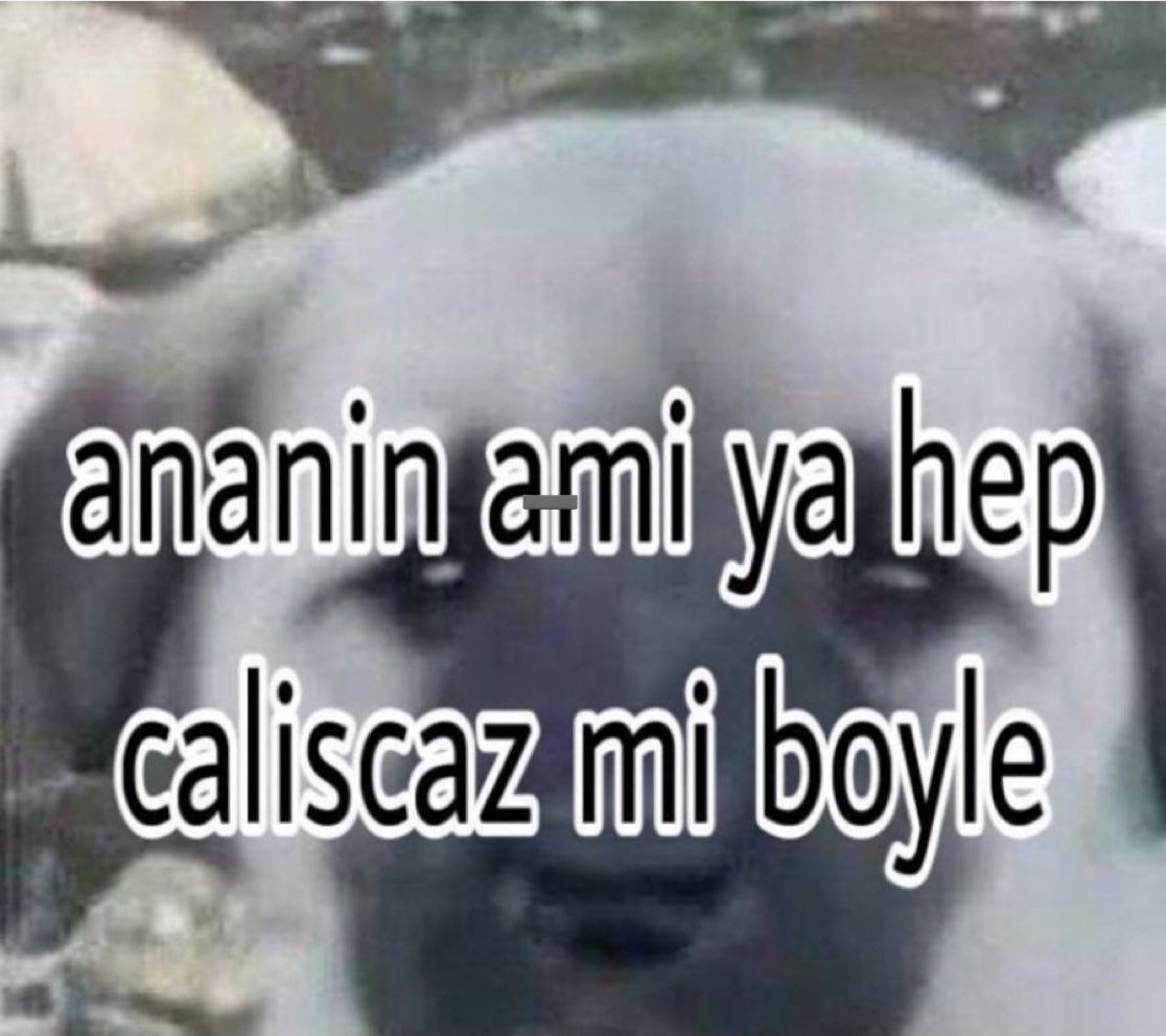 Out Of Context Animals (@cntxtanimai) on Twitter photo 