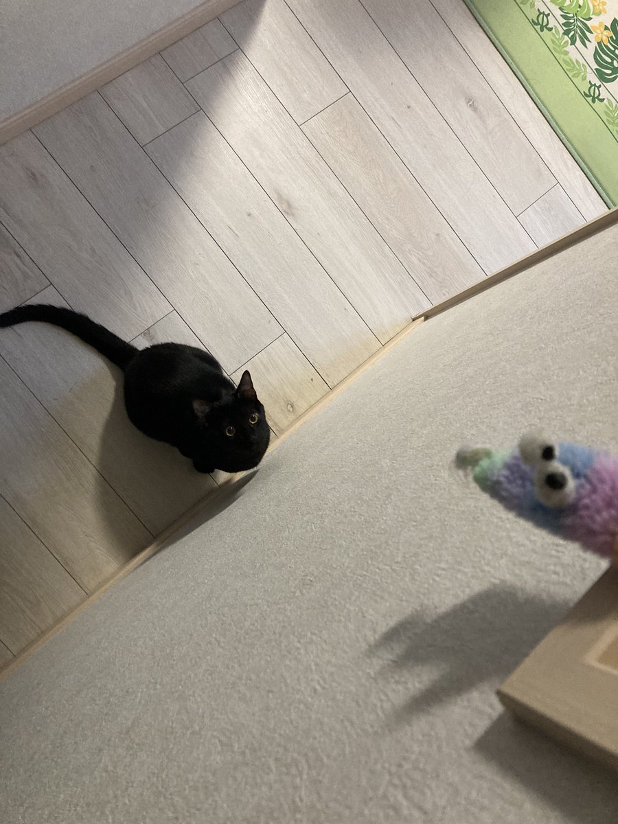 meg_620's tweet photo. じっ… https://t.co/d1cJVgEuSW