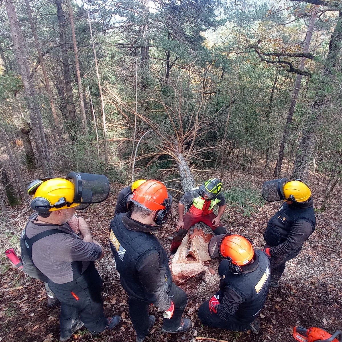 easolsones's tweet photo. ➡️ L’espai acollirà cursos i jornades de #formaciócontínua, així com el #certificatprofessional d’aprofitaments forestals (@ocupaciocat), que serà impartit des del nou CFPI i és previst que s’iniciï el febrer de 2025. 

#FormacióEASolsonès #EscolesAgràries (2/3) 👇🏽 https://t.co/Z3ry3o93VX