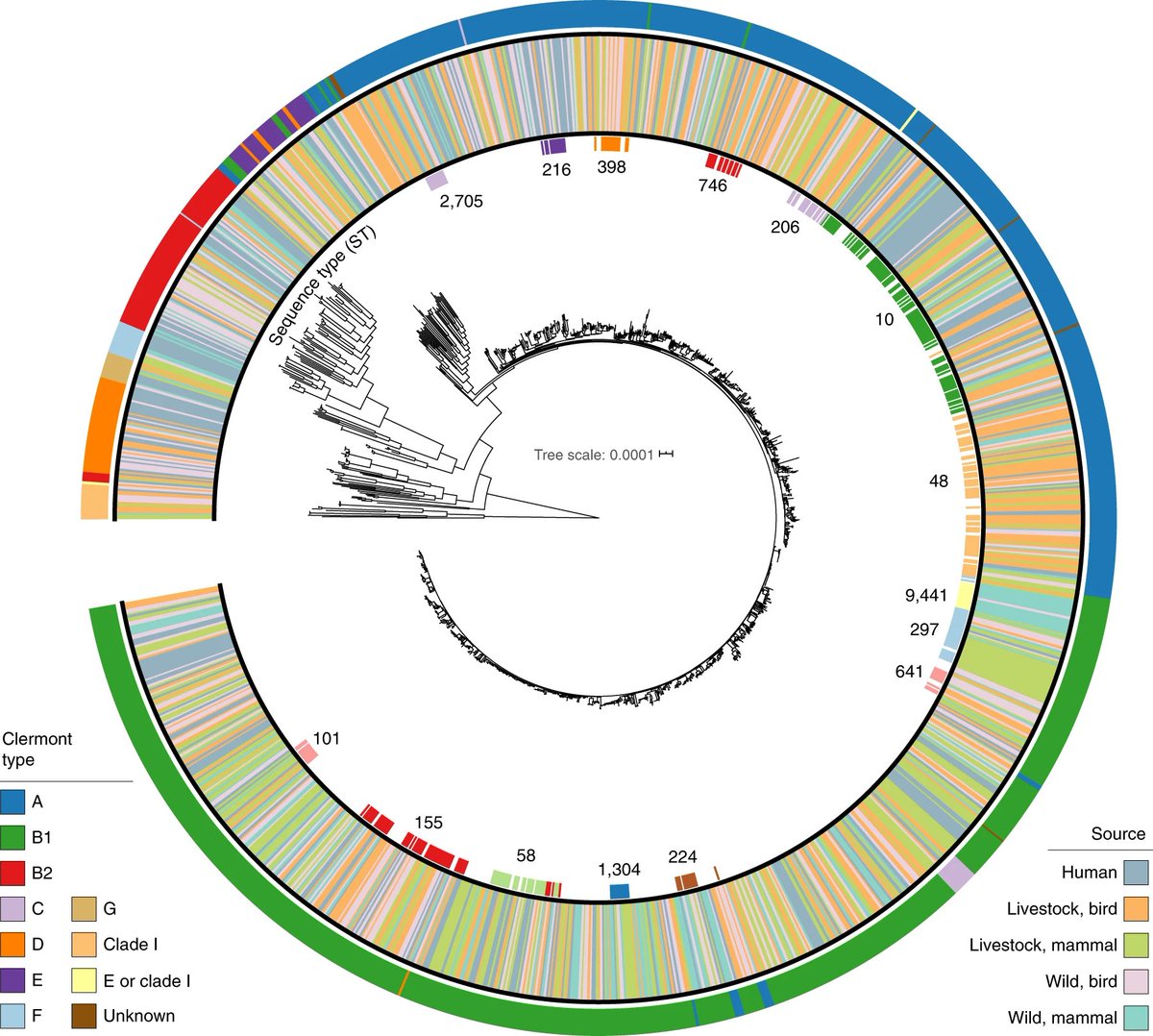 Zoonoses & EID (@zoonoticdisease) on Twitter photo Our 2022 seminal paper is being promoted by <a href="/EuropePMC_news/">Europe PMC</a>, so we're sharing it again here:
Population genomics of Escherichia coli in livestock-keeping households across a rapidly developing urban landscape
doi.org/10.1038/s41564…
<a href="/NatureMicrobiol/">Nature Microbiology</a> Our 2022 seminal paper is being promoted by <a href="/EuropePMC_news/">Europe PMC</a>, so we're sharing it again here:
Population genomics of Escherichia coli in livestock-keeping households across a rapidly developing urban landscape
doi.org/10.1038/s41564…
<a href="/NatureMicrobiol/">Nature Microbiology</a>