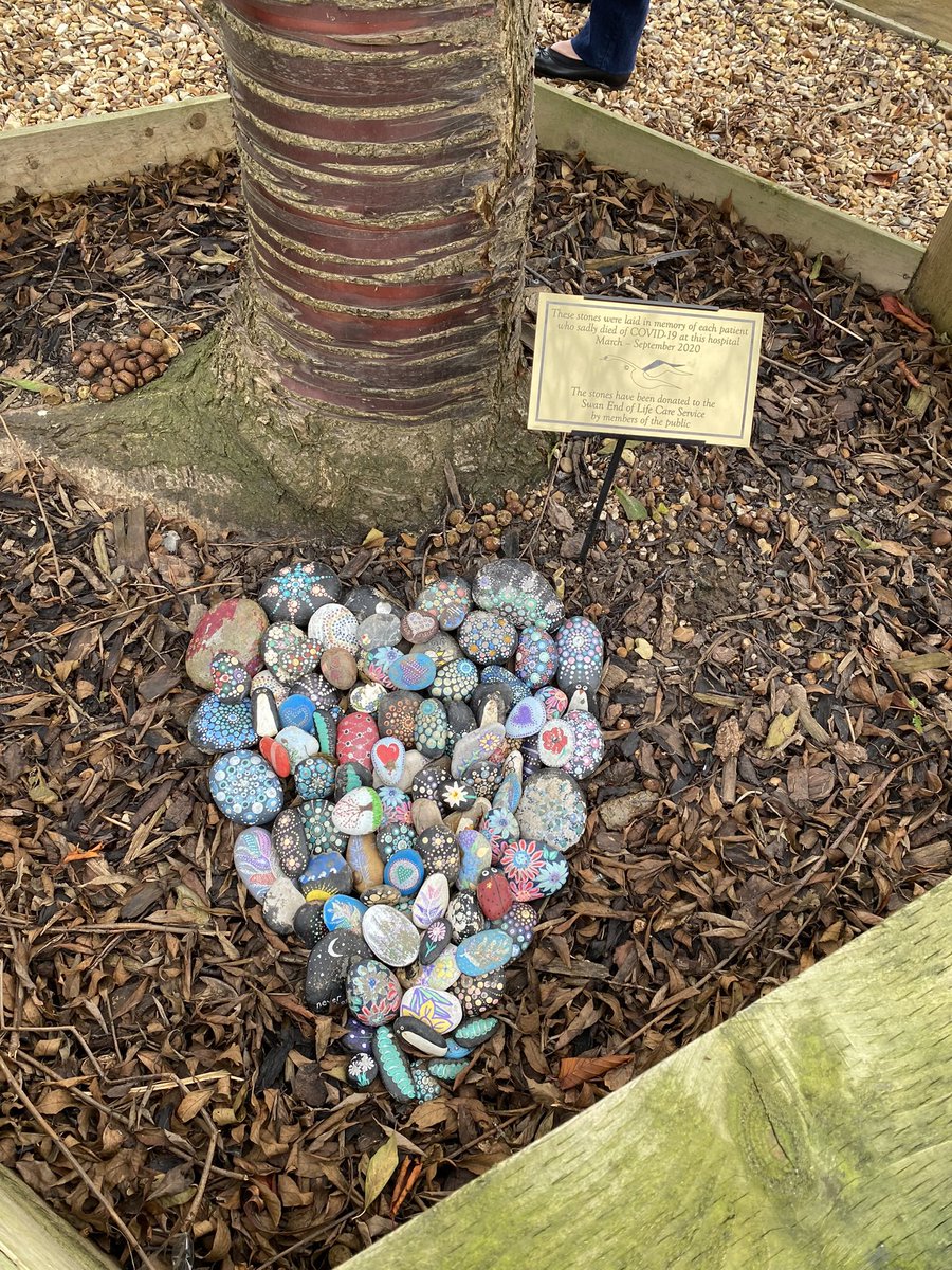 Jules Lewis RGN MSc 💙🦢 tweet media