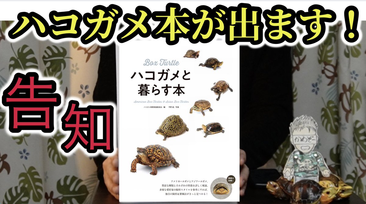 000kamezo's tweet photo. 【告知】ハコガメ本が出ます！

［ハコガメと暮らす本］

今回、取材を受けさせて頂き、 
ハコガメ飼育推進委員会の１人として、
少しですが執筆もいたしました。

 買って読んで頂けたら幸いです♪

かめぞー☆ちゃんねる
 https://t.co/s1OsIMnMZt @YouTubeより https://t.co/ucK6WUJnbo