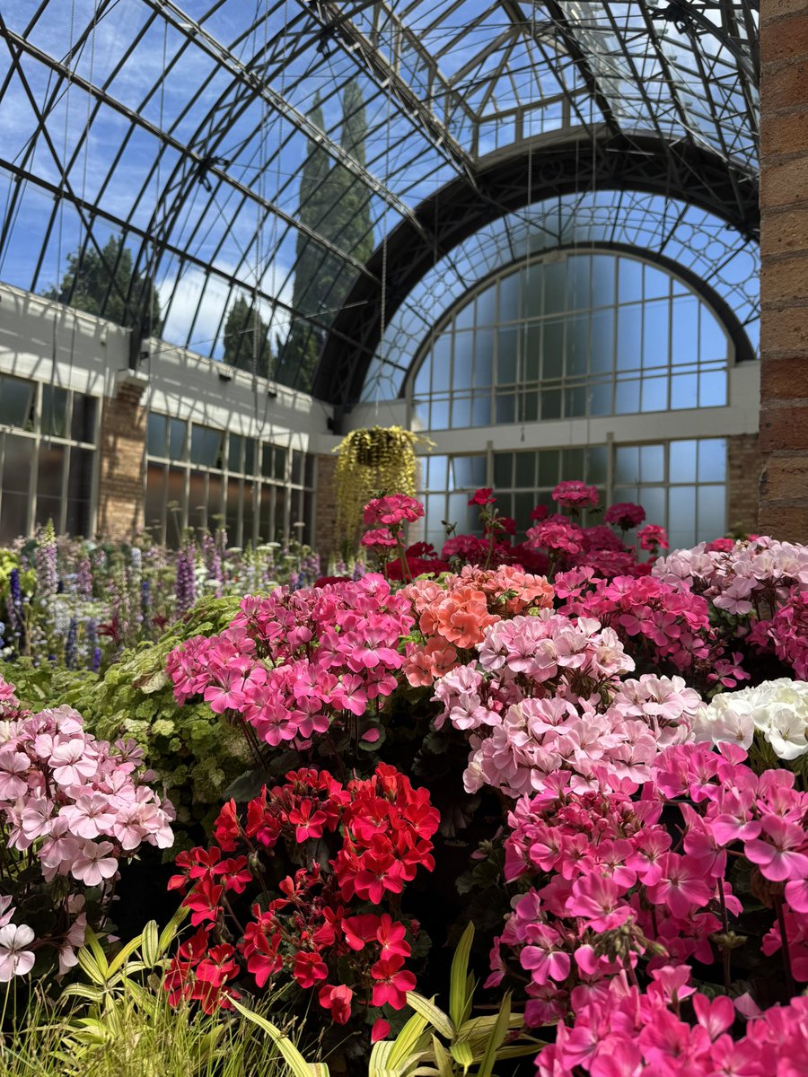 Louise Poppy - New Zealand Tour Guide tweet media