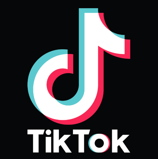 ENHYPEN is the biggest kpop group on TikTok globally in 2024.