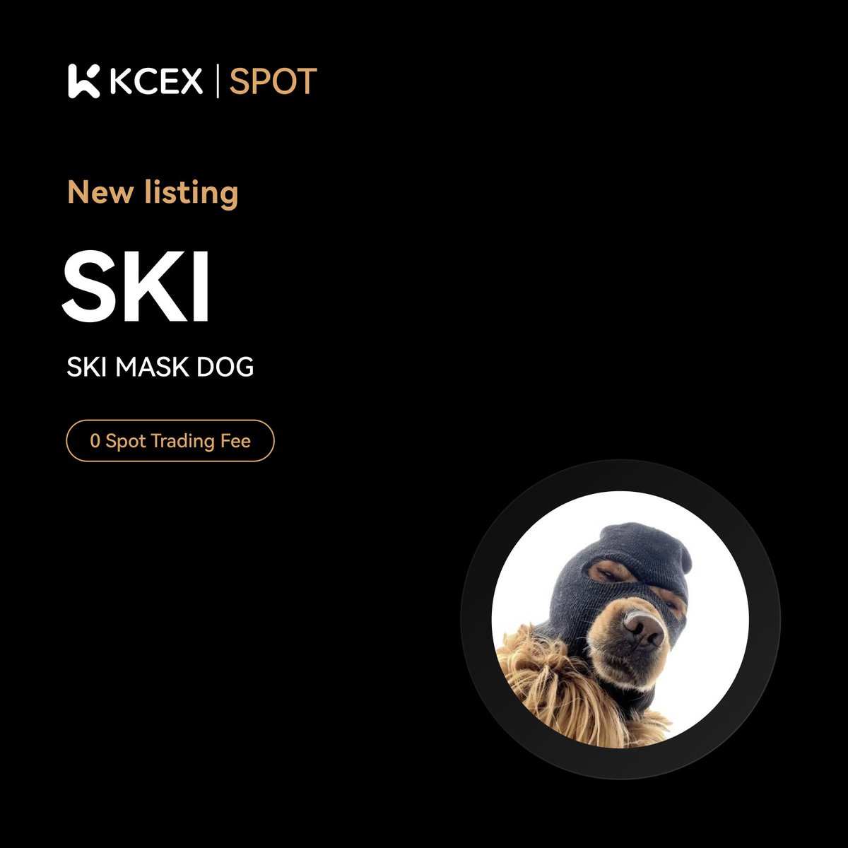 #KCEX New Listing !

<a href="/Ski_CTO/">Ski Mask Dog</a>, a meme coin on the BASE chain, will be listed on the KCEX spot trading market.

Trading Pair: $SKI/USDT
💼 Deposits: Opened
⏰ Spot Trading Starts: 2024-12-05 09:00 (UTC)