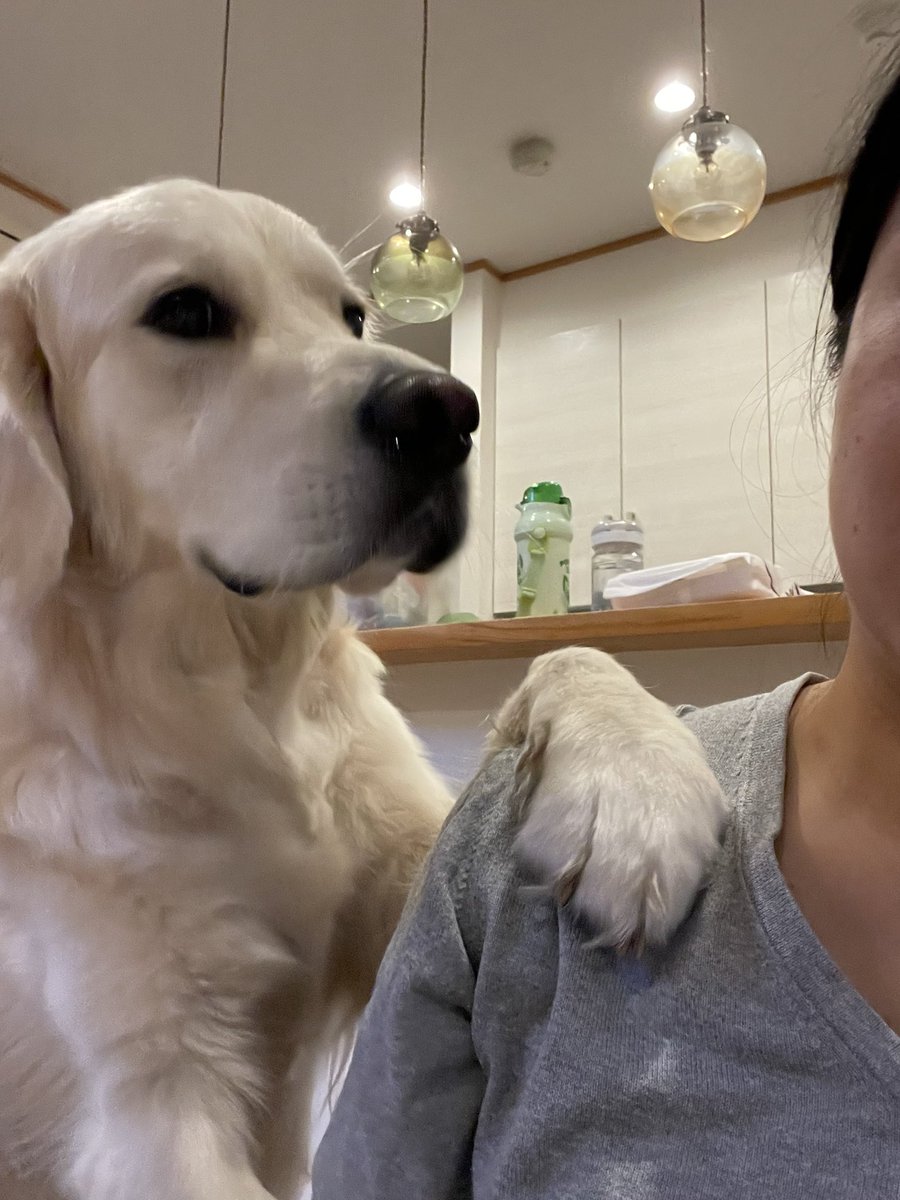 fikas_time's tweet photo. ま、人生嫌なことだってあるさね
元気だしーや、な。 https://t.co/yJOwXIYTwj