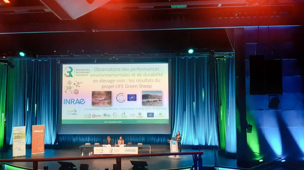 LIFE GREEN SHEEP tweet media