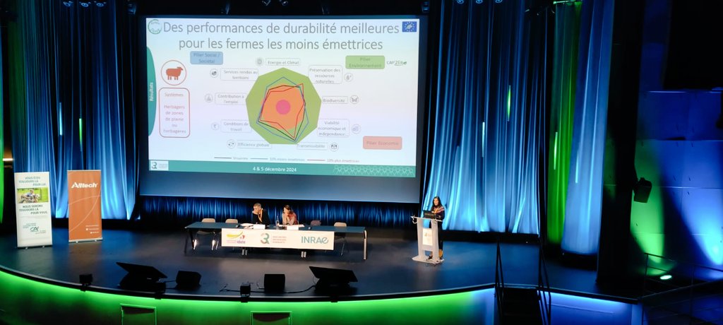 LIFE GREEN SHEEP tweet media