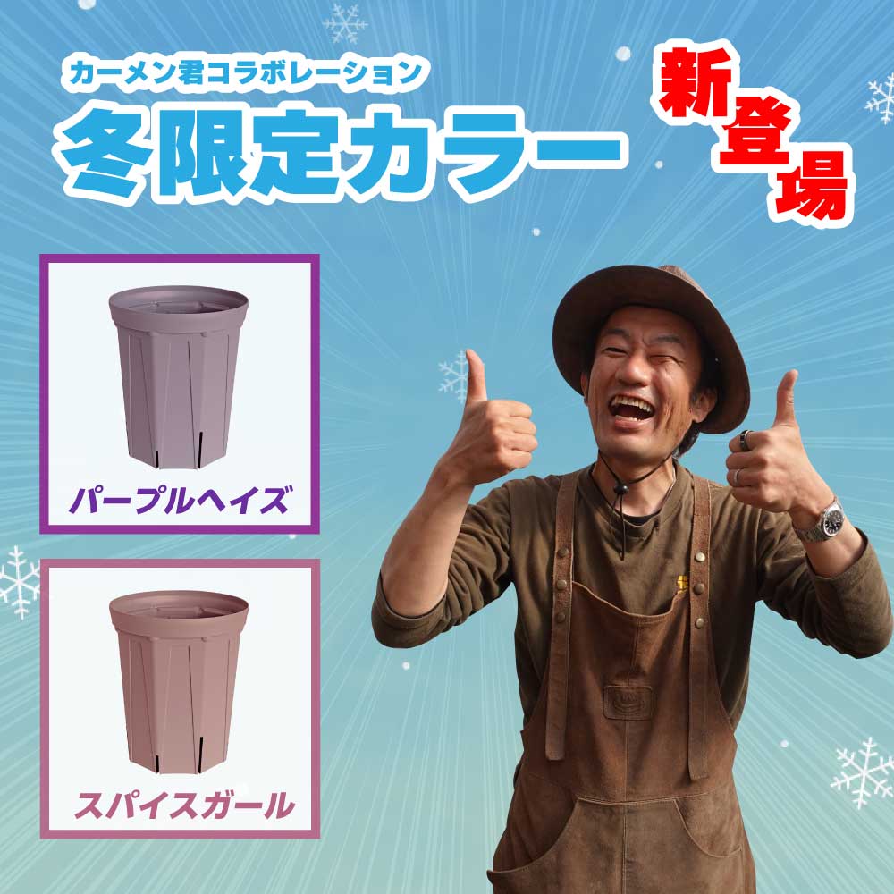 実物は思ってる以上に綺麗ですよ😍