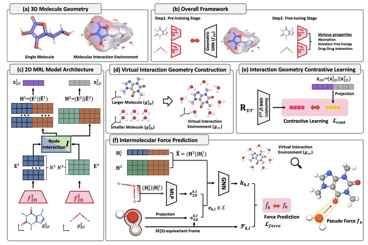 BiologyAIDaily's tweet photo. 3D Interaction Geometric Pre-training for Molecular Relational Learning

1. This study introduces 3DMRL, a novel framework for molecular relational learning (MRL) that incorporates 3D geometric pre-training to model molecular interactions, marking a significant advance in MRL.

2. 3DMRL employs a virtual interaction environment to simulate molecular interactions using a combination of 2D and 3D molecular representations, eliminating the need for computationally expensive quantum mechanical calculations.

3. The framework utilizes two key strategies: contrastive learning for aligning 2D and 3D interaction representations, and force prediction loss to capture fine-grained molecular interaction forces.

4. Experimental results demonstrate up to 24.93% performance improvement across 40 tasks, including challenging out-of-distribution and extrapolation scenarios, showcasing 3DMRL’s versatility and effectiveness.

5. Unlike traditional MRL methods, 3DMRL leverages a one-to-many geometric configuration to simulate realistic interaction environments, accounting for spatial and relational molecular features.

6. The pre-training significantly enhances downstream tasks like solvation free energy prediction, drug-drug interaction modeling, and optical property prediction, making it applicable to pharmaceutical and materials science domains.

7. By integrating complex 3D geometry into 2D MRL models, 3DMRL sets a new benchmark for generalization and efficiency in molecular science.

@hcwww_ @MinkaiX @namkye0n9 @cypark424
💻Code: https://t.co/ZL6F9Kuwq0
📜Paper: https://t.co/BE6ioEVHS0

#MolecularLearning #3DMRL #AI #MachineLearning #DrugDiscovery #Bioinformatics #StructuralBiology