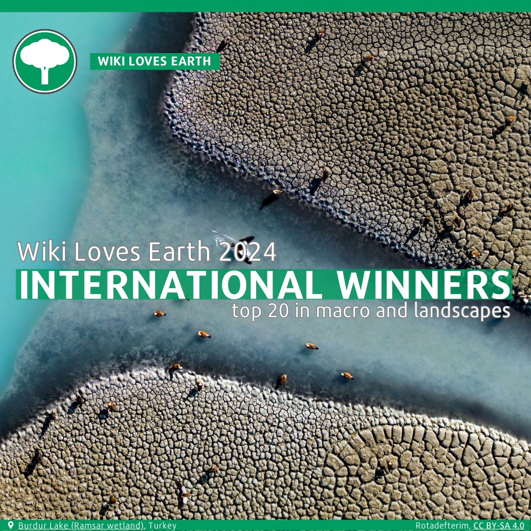 WikiLovesEarth's tweet photo. We are delighted and proud to present the top 20 best images of Wiki Loves Earth 2024!🌳👏

Check out the complete list of winners in our blog post📷https://t.co/jxgQQqaGpC https://t.co/qZUqHKKx8b