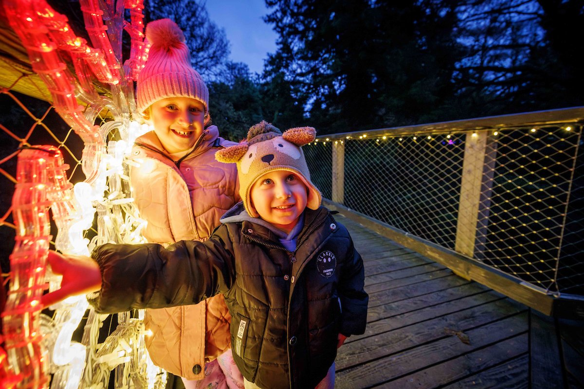 Coillte (@coilltenews) on Twitter photo Experience the magic of Treetop Night Lights at <a href="/AvondaleBeyond/">Beyond the Trees Avondale</a>!
Enjoy festive fun with:
🎿 Ice skating by Wicklow on Ice
🎄 Festive markets
🏰 Christmas with the Parnells at Avondale House
🗓️ 15th Nov – 2nd Feb
🕓 4pm – 8pm
Book now: booking.beyondthetreesavondale.com/Event/WINTERLI… Experience the magic of Treetop Night Lights at <a href="/AvondaleBeyond/">Beyond the Trees Avondale</a>!
Enjoy festive fun with:
🎿 Ice skating by Wicklow on Ice
🎄 Festive markets
🏰 Christmas with the Parnells at Avondale House
🗓️ 15th Nov – 2nd Feb
🕓 4pm – 8pm
Book now: booking.beyondthetreesavondale.com/Event/WINTERLI…
