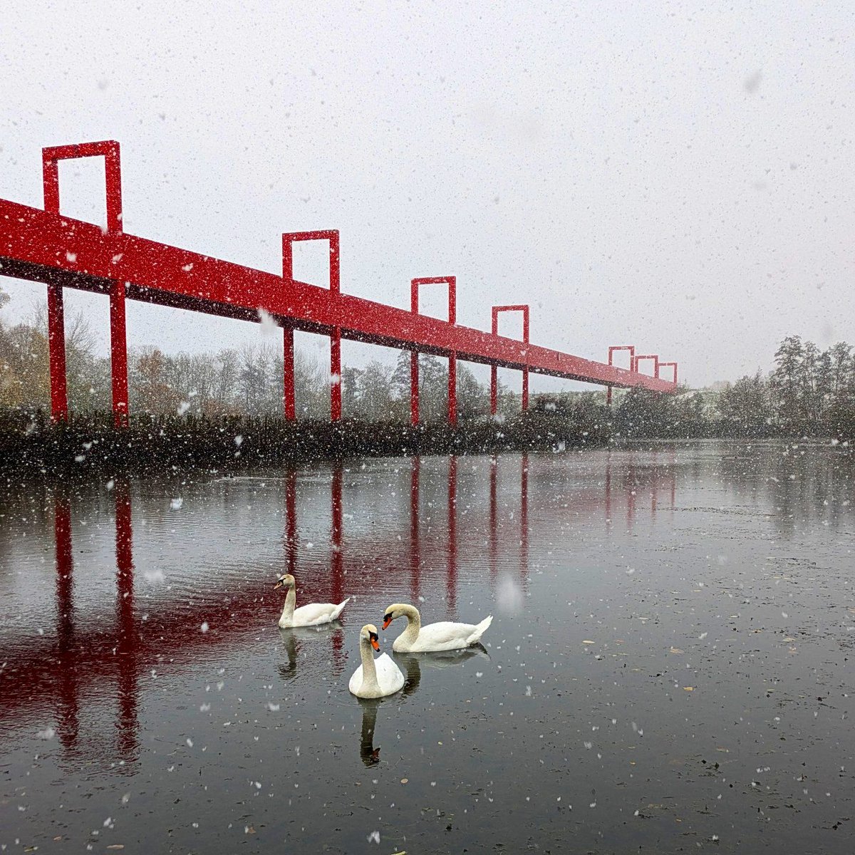 CergyPontoise95's tweet photo. #JeudiPhoto | ❄️ La passerelle rouge de l’#AxeMajeur en mode hiver ! Sous les flocons de neige, l’Oise et les cygnes complètent ce décor féerique digne d’une carte postale. Un spectacle magique pour accueillir le mois de décembre. 🎄✨

📸 Une photo signée cheztatacouette 😍 https://t.co/6iR2yytxpX