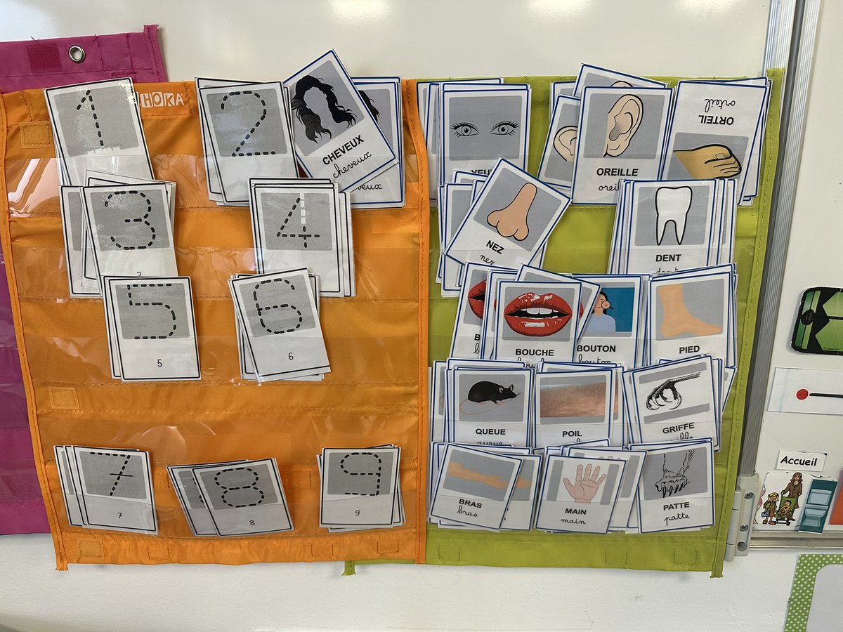 mikedave06's tweet photo. 🎈Le générateur de cartes #apprentilangue d’@hervelalimace 
Présenté en formation et aussitôt adopté
https://t.co/uWV1z78Efz https://t.co/jekGOLjbbh