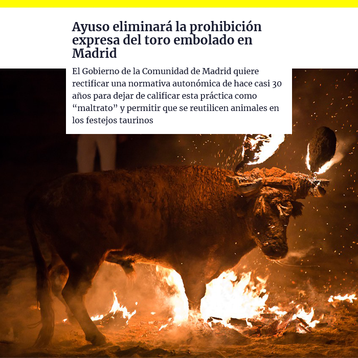 ruben_prz's tweet photo. Así que la libertad era esto, libertad para maltratar animales de formas que llevan 30 años prohibidas.

📰 https://t.co/81rUdPKzId https://t.co/HiXj0RIIqb