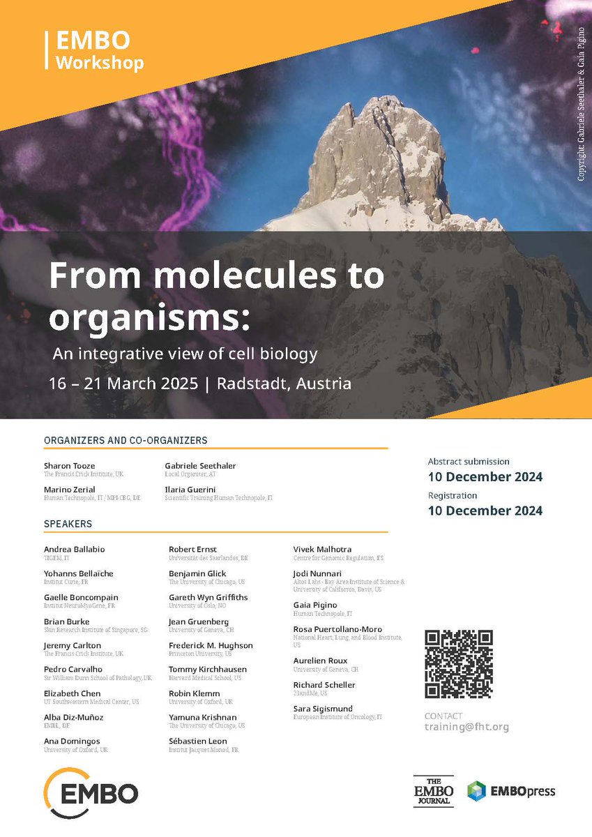 humantechnopole's tweet photo. ⏳ Deadline extended!

🧪 Don’t miss the @EMBO Workshop in Austria from 16 to 21 Mar '25 to explore new concepts in membrane trafficking and cell organisation. Organised by HT Director @ZerialLab &amp; @sharontooze01 @TheCrick 

👉 https://t.co/tIRx33tw9a https://t.co/KsNJkFxjj4