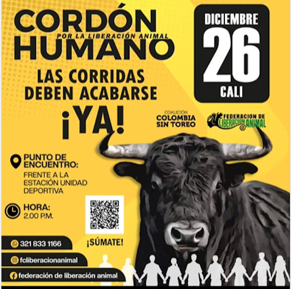 Colombie : respectez la loi

Le mandat populaire doit être respecté ! Les corridas dont la promotion est faite pour Cali fin décembre doivent être annulées !

<a href="/COLSinToreo/">Colombia Sin Toreo</a>