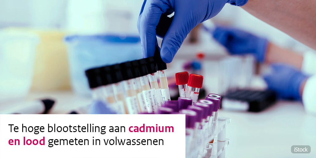 RIVM tweet media