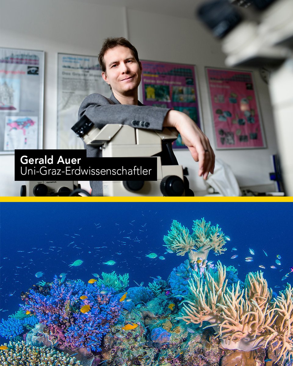 Uni Graz/University of Graz (@unigraz) on Twitter photo Die Wärme war’s: Forscher:innen der <a href="/kieluni/">Universität Kiel CAU 🎓</a> und #unigraz klären Entstehungsgeschichte des Great Barrier Reef:
🔗uni-graz.at/de/neuigkeiten…
<a href="/GeraldAuer/">Gerald Auer</a> #greatbarrierreef#weworkfortomorrow #universityofgraz #unigraz Die Wärme war’s: Forscher:innen der <a href="/kieluni/">Universität Kiel CAU 🎓</a> und #unigraz klären Entstehungsgeschichte des Great Barrier Reef:
🔗uni-graz.at/de/neuigkeiten…
<a href="/GeraldAuer/">Gerald Auer</a> #greatbarrierreef#weworkfortomorrow #universityofgraz #unigraz
