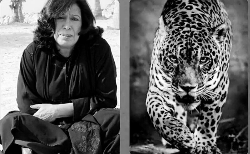 فالح | tweet media