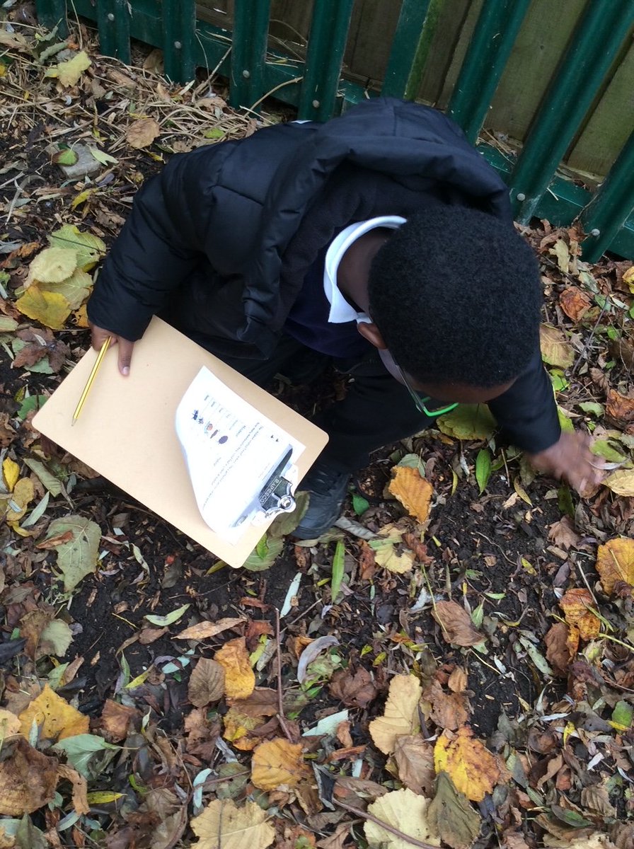 RuskinInfant's tweet photo. Year 2 had an exciting science lesson! They ventured into forest school to identify mini-beasts and their micro-habitats. They then presented the data on a pictogram, linking to their current Computing topic. 

To find out more please visit https://t.co/ntX3ElocLj
@LionAcTrust https://t.co/UakTX9sg2I
