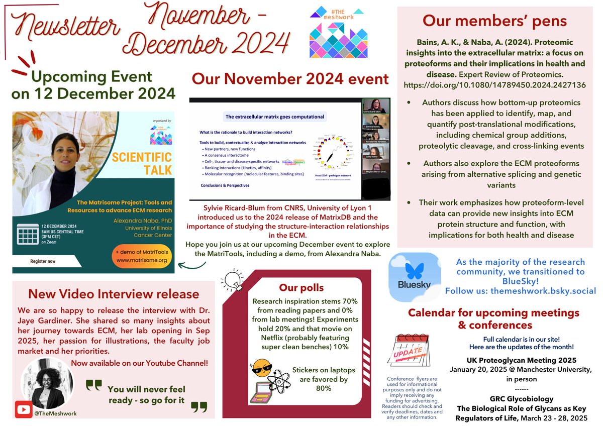 THEmeshwork tweet media