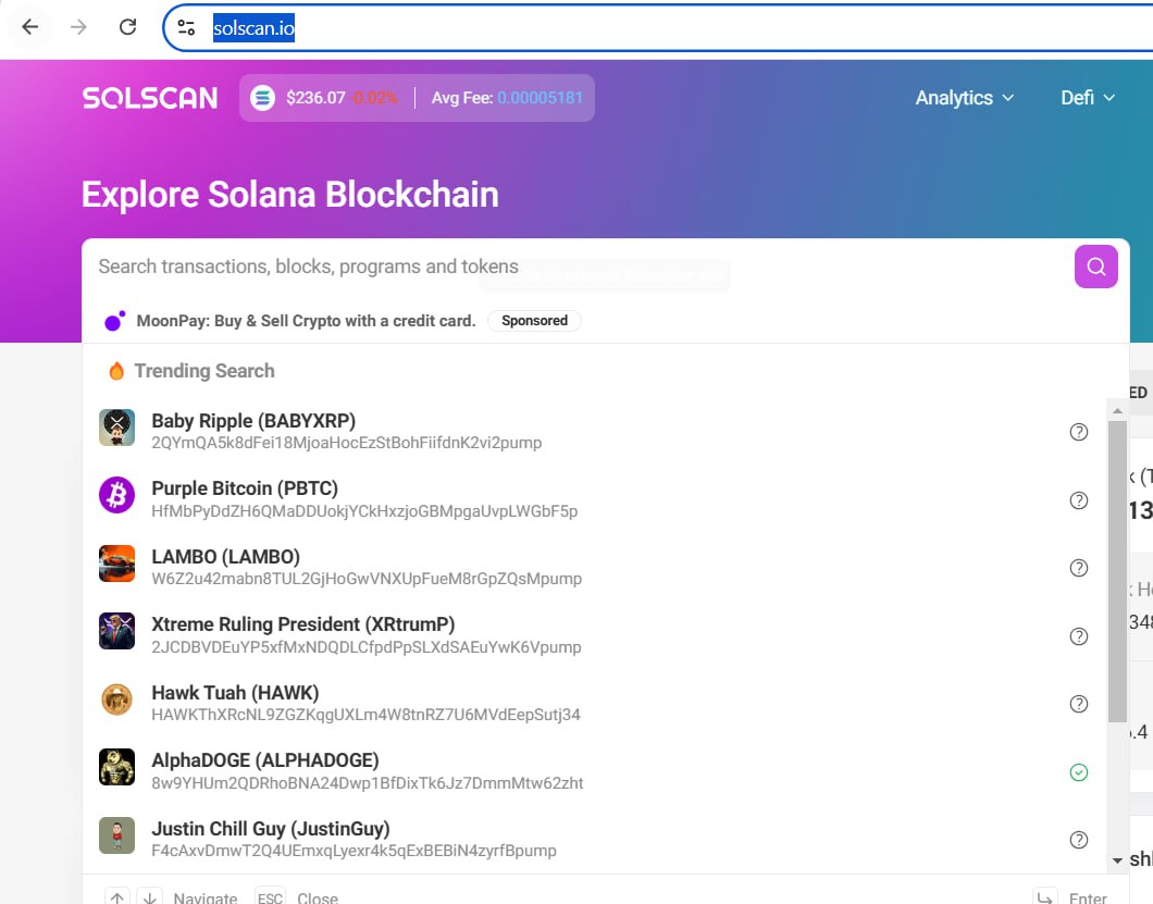 AlphaDOGE_Sol's tweet photo. 🚨 BOOM: ALPHADOGE IS TRENDING ON SOLSCAN! 🚀🐾

AlphaDOGE Army, we’re dominating everywhere! AlphaDOGE is now TRENDING on the Solscan search bar! This is a huge achievement that shows just how much attention and hype we’re generating. 💥

🔥 What this means:

• 🔍 Everyone’s watching: AlphaDOGE is THE coin that everyone wants to know about.
• 🚀 Massive traction: Trending on Solscan proves we’re the hottest project on Solana right now.
• 🔥 The team is COOKING HARD: We’re making waves and won’t stop until AlphaDOGE is on top!

📊 Check us out on Solscan:
👉 https://t.co/BpSRhfPAwC

💡 Here’s what you need to do NOW:
1️⃣ BUY and HOLD: Trending coins = massive potential for explosive gains.
2️⃣ SPREAD THE NEWS: AlphaDOGE is taking over Solana — let the world know!
3️⃣ STAY TUNED: The team is working non-stop to push AlphaDOGE to the next level.

This isn’t just hype; this is the AlphaDOGE takeover. The pack is unstoppable. LET’S KEEP MOONING! 🏆🐶

#AlphaDOGE #TrendingOnSolscan #CookingHard #MasterOfMemecoins