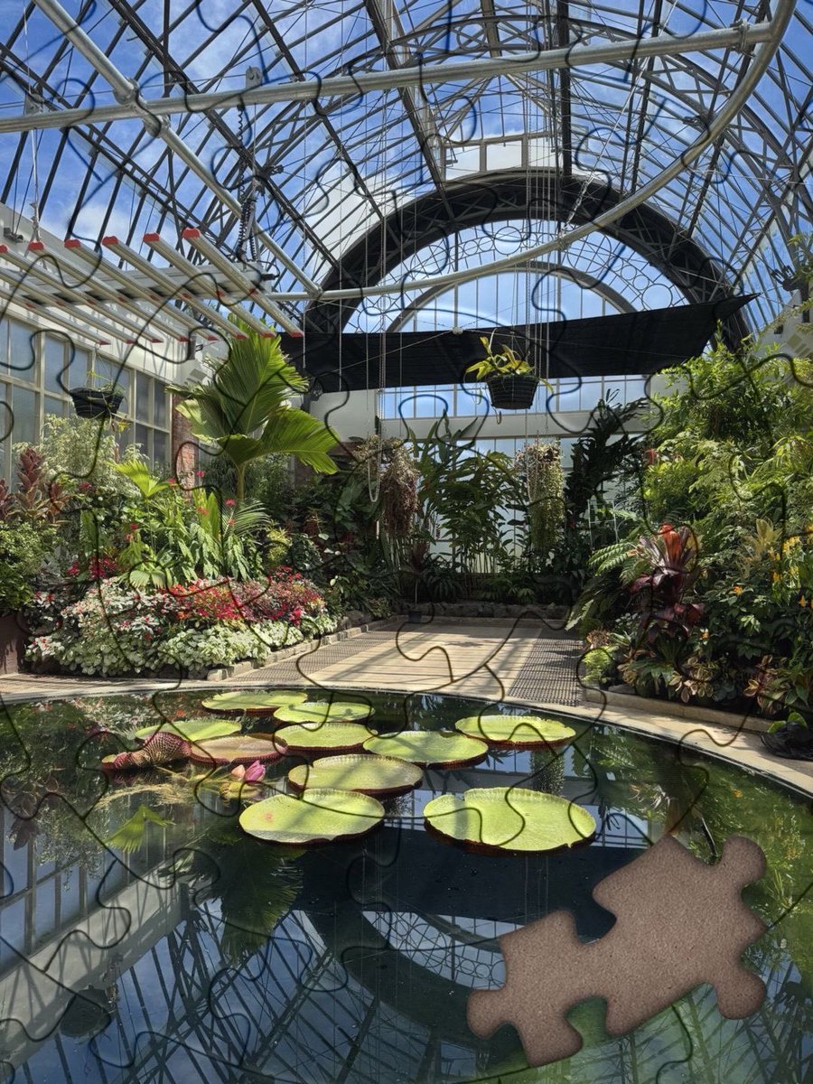 jon🕊️ tweet media