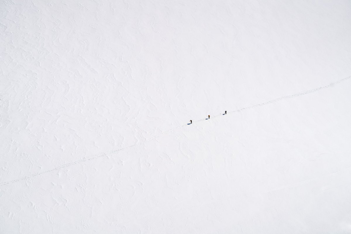 Jade Stephens tweet media