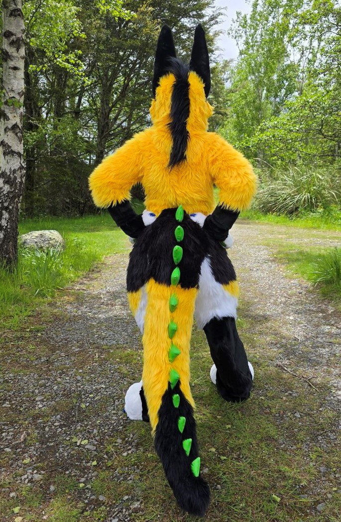 SparkyCanDo's tweet photo. Canine Monster - Edited just for you!
A SparkyCanDo Refurbishing job, originally made by @MadeFurYou

All info in the auction link below 👈😎👈
 https://t.co/OWTejsNchj

#fursuitforsale #sparkycando #madefuryou #fursuitauction #thedealersden #monsterdog #fursuitfriday https://t.co/AtUGARV46e