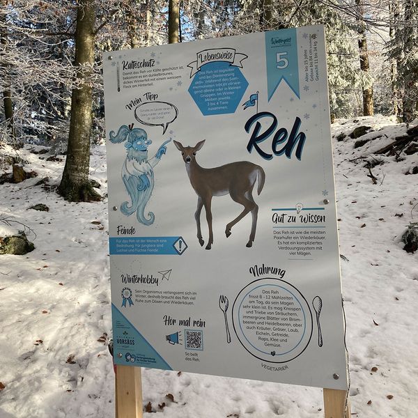 juiz_nidwalden's tweet photo. Vom Samstag, 7. Dezember bis 1. März 2025 ist der Wintererlebnispfad auf dem Erlebnis Hof Vorsäss für kleine und grosse ForscherInnen wieder geöffnet.
ℹ️ https://t.co/79ogebbKs4
#Mueterschwandenberg #Ennetmoos #Nidwalden https://t.co/dQ80412KsT