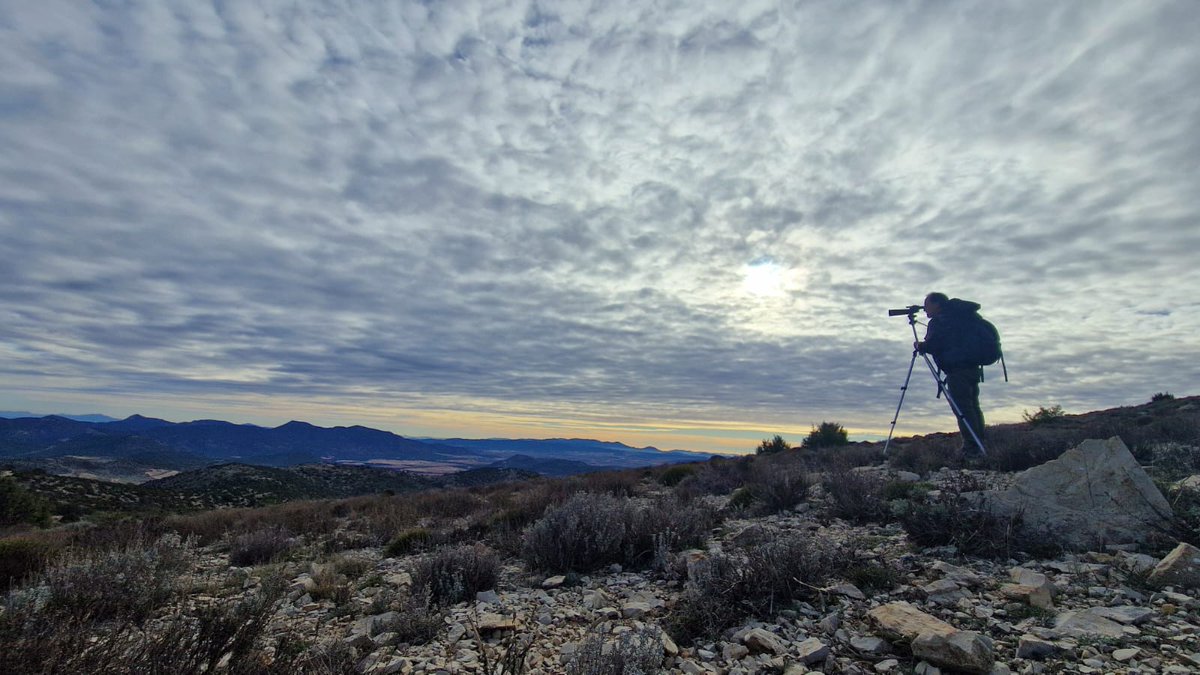 Regmurcialimpia's tweet photo. Y en esta oficina terminamos la semana laboral. Los @EspNaturalesMur son un paraíso de biodiversidad #quelosepas Respeta la suerte que tenemos y no dejes ni un solo residuo abandonado en ellos. #gracias https://t.co/bLA6IReCPV