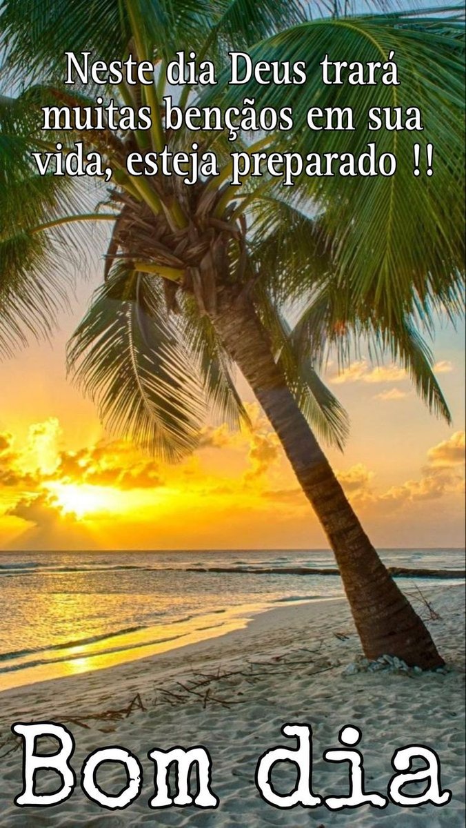 VandinhaFlaJM¹³ ❤️🖤💛🌈🌙🪞🇧🇷 tweet media