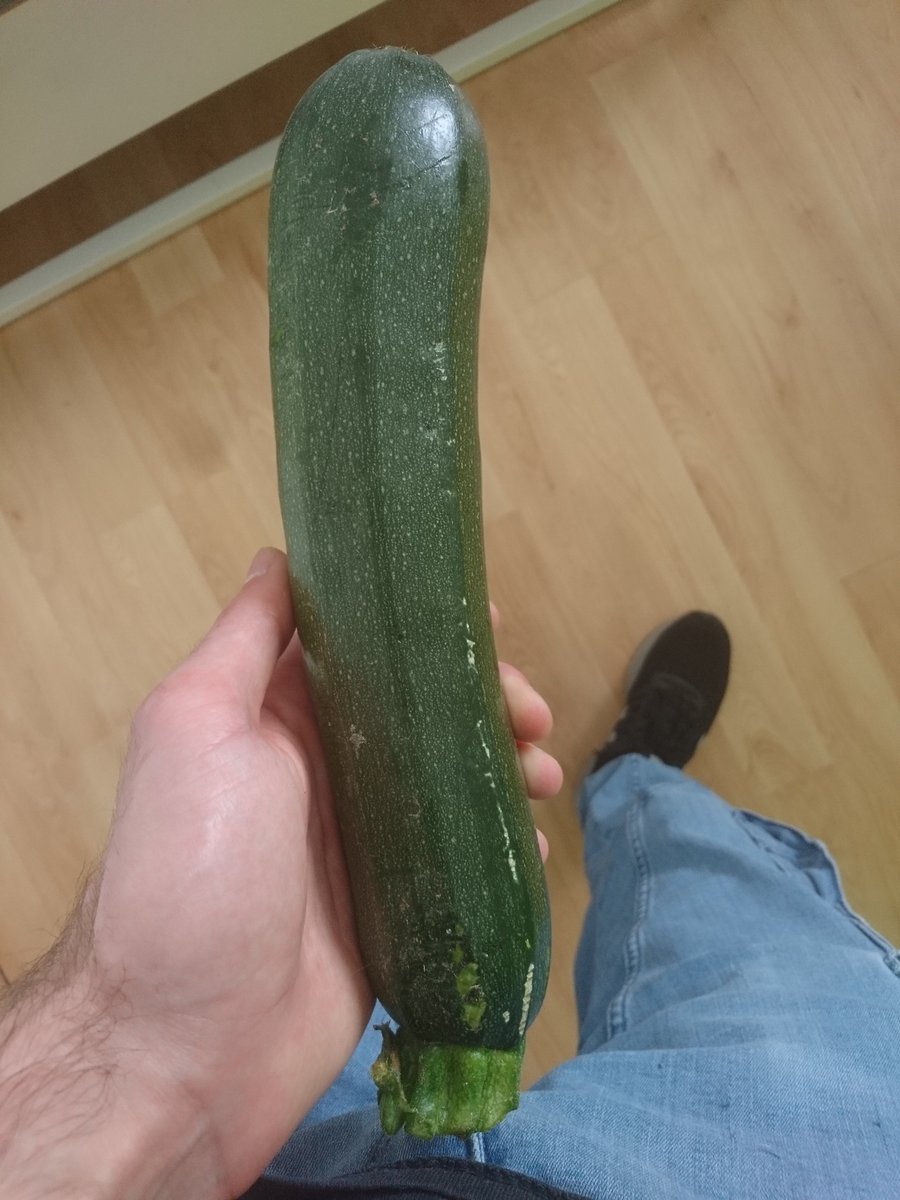 Lion | ReismitMais tweet media