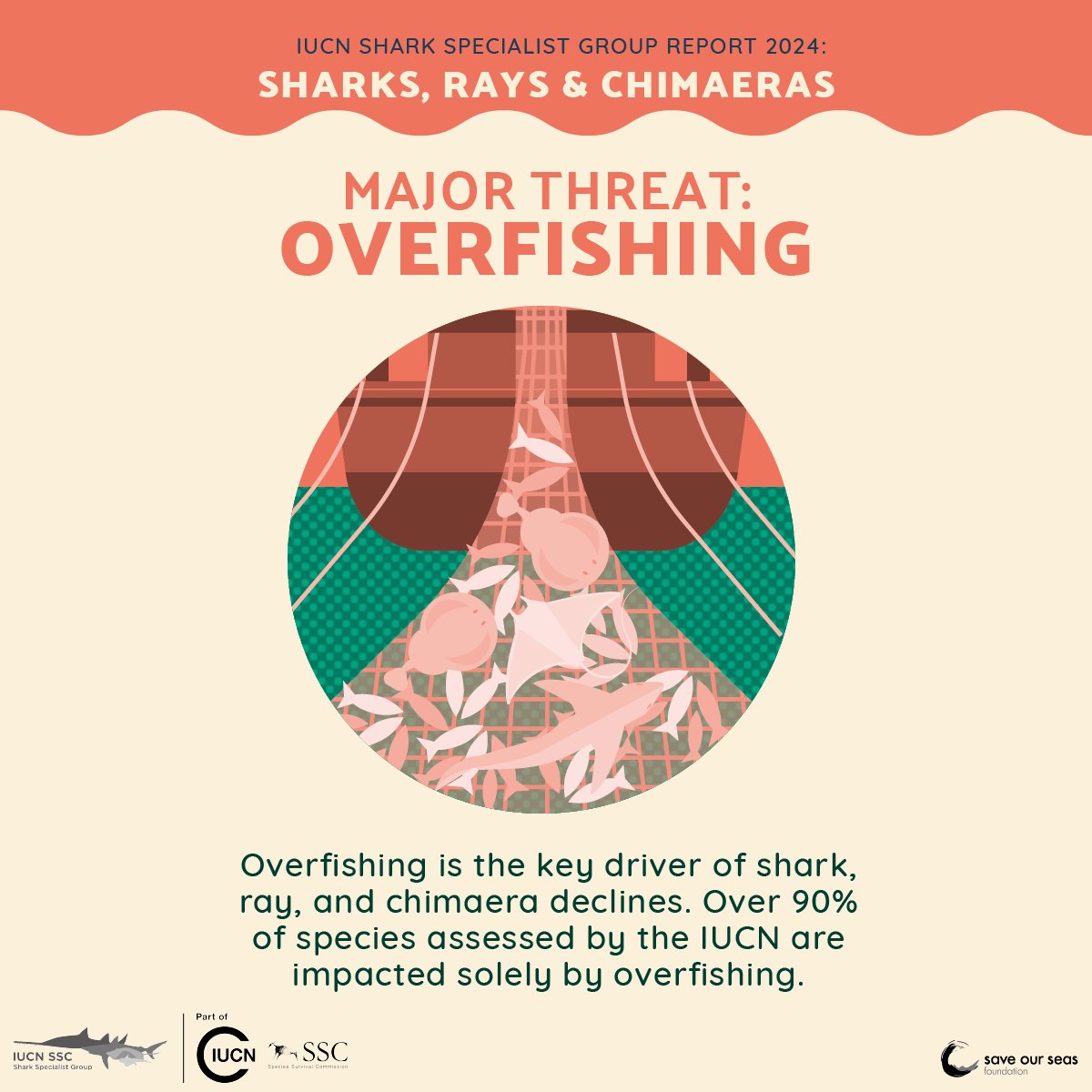 Save Our Seas tweet media