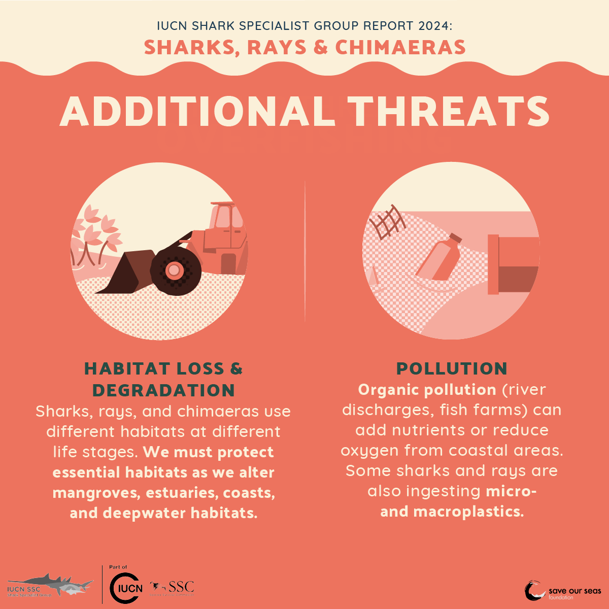 Save Our Seas tweet media