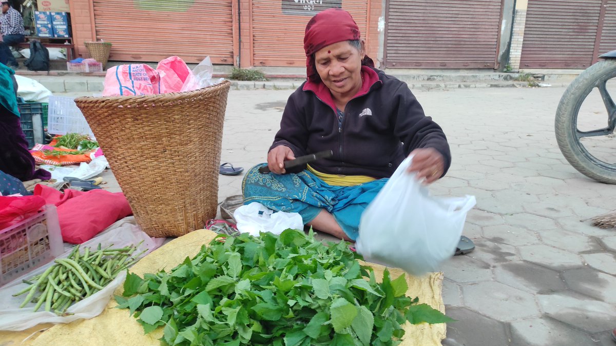Narayan376's tweet photo. जङ्गलको सिस्नो बजारीयाको भान्सामा । #damauli #tanahun https://t.co/Xbc9AxxgWr