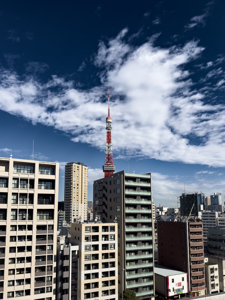 tokyo23gram's tweet photo. 冬空と東京タワー https://t.co/3xYfDTVaBG
