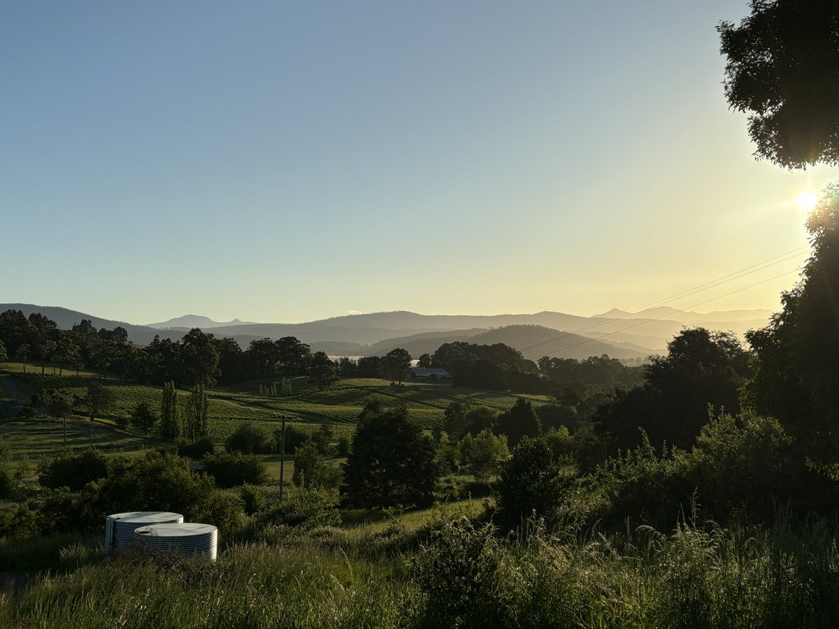 James Rebanks tweet media