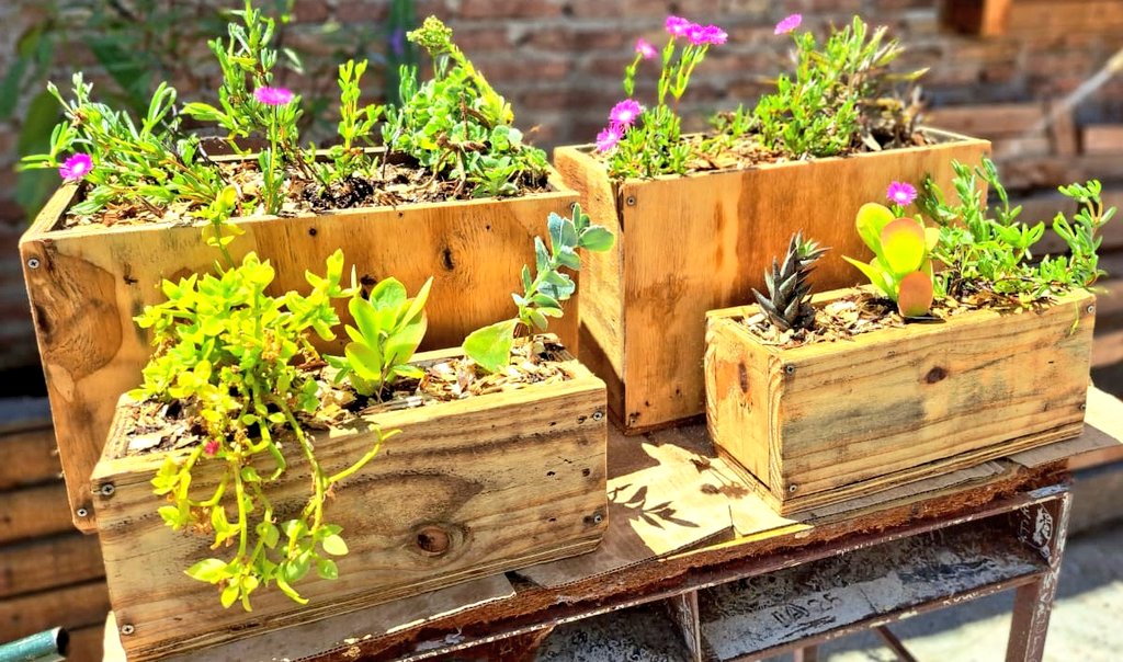 Val_Fabian's tweet image. Gracias @AutosdelSurSA por una nueva donacion de #pallets al programa #HuertasDeLaCiudad🍅🥦 del @MunicipioBahia.

A partir del desarme de estos por nuestro equipo, hacemos diferentes tipos de #bancales de siembra🌱 y #macetas para ornamentales🌸.

Agradecemos al delegado